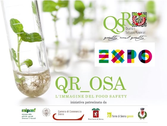 qrosa_expo.jpg