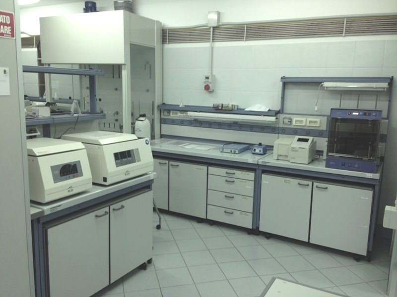 laboratorio_1.JPG